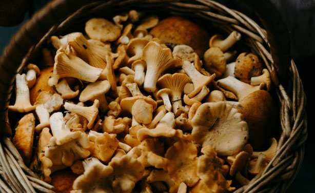 Mushrooms