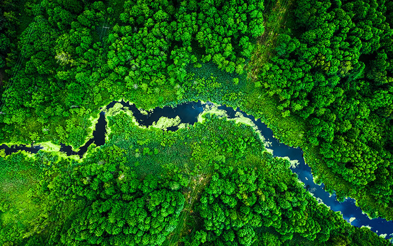 Sustainability